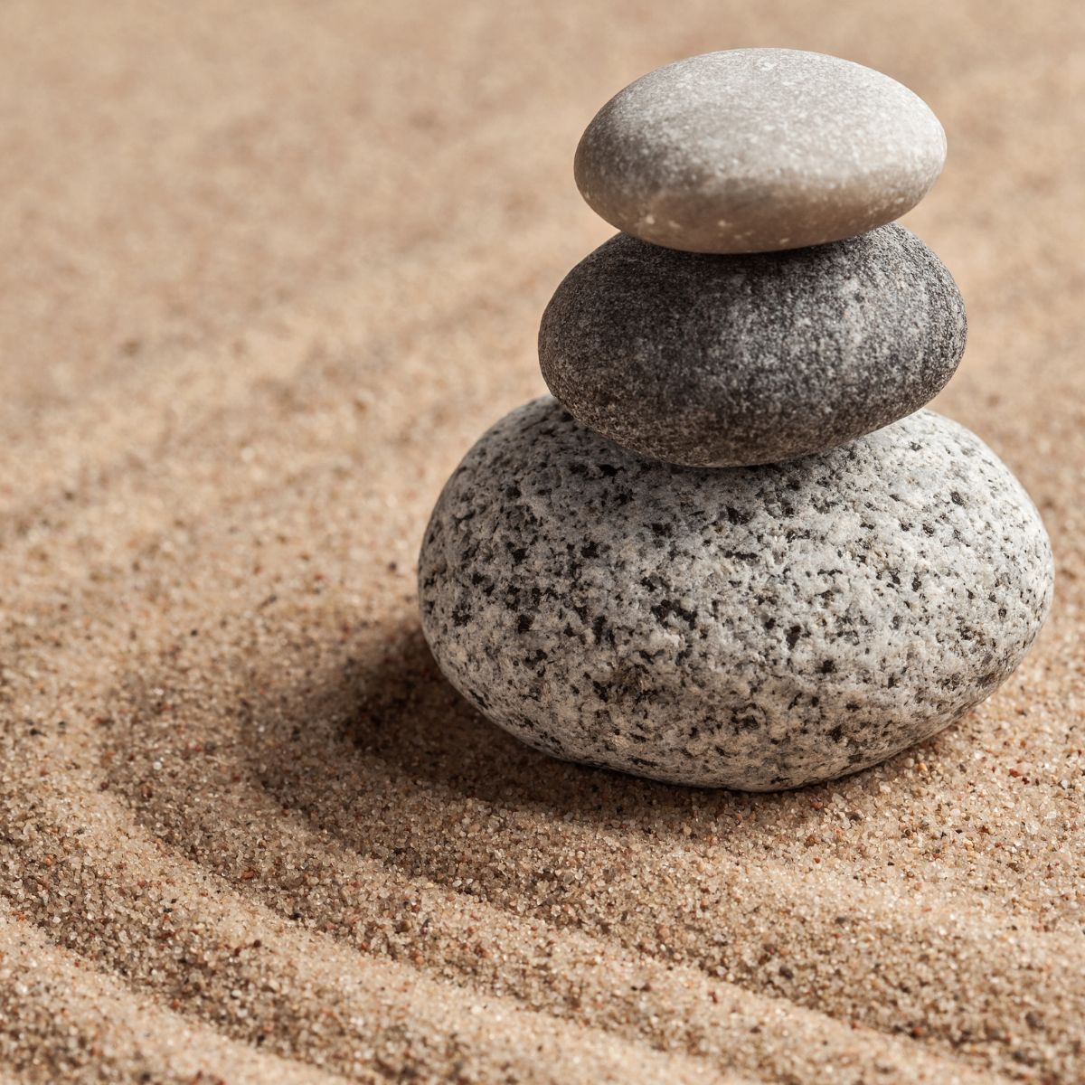 Ensikartoitus -- Kartoituskäynti - Toipuminen ja tutkiminen - Mielipalvelut